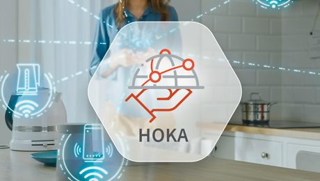 Hoka HTTP Web Server